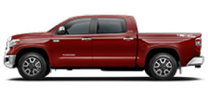 Tundra Tundra