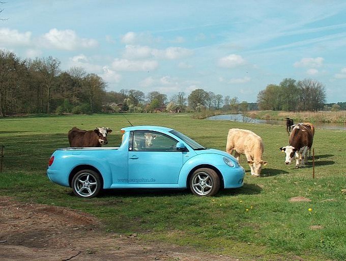 VW Beetle Pickup Truck