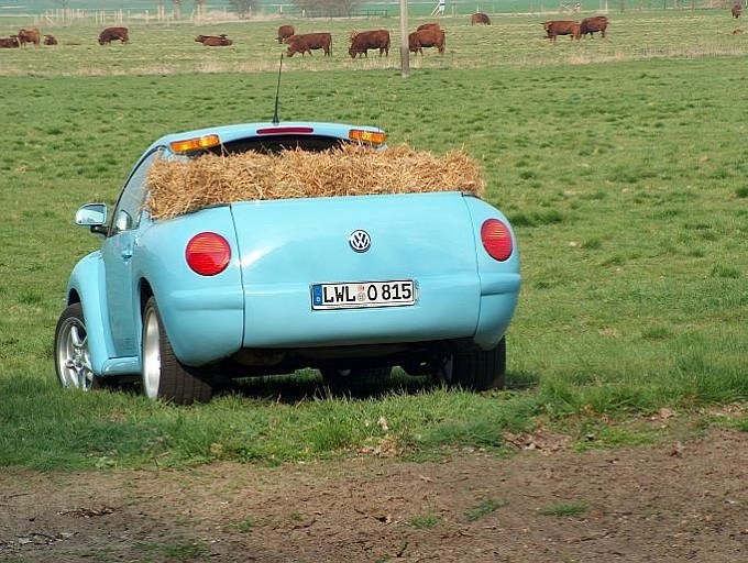 Hay bail in VW beetle