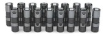 LS-Series Camshaft Lifter Kit (Set of 16 lifters for LS-Series engines) LS-Series Camshaft Lifter Kit (Set of 16 lifters for LS-Series engines)