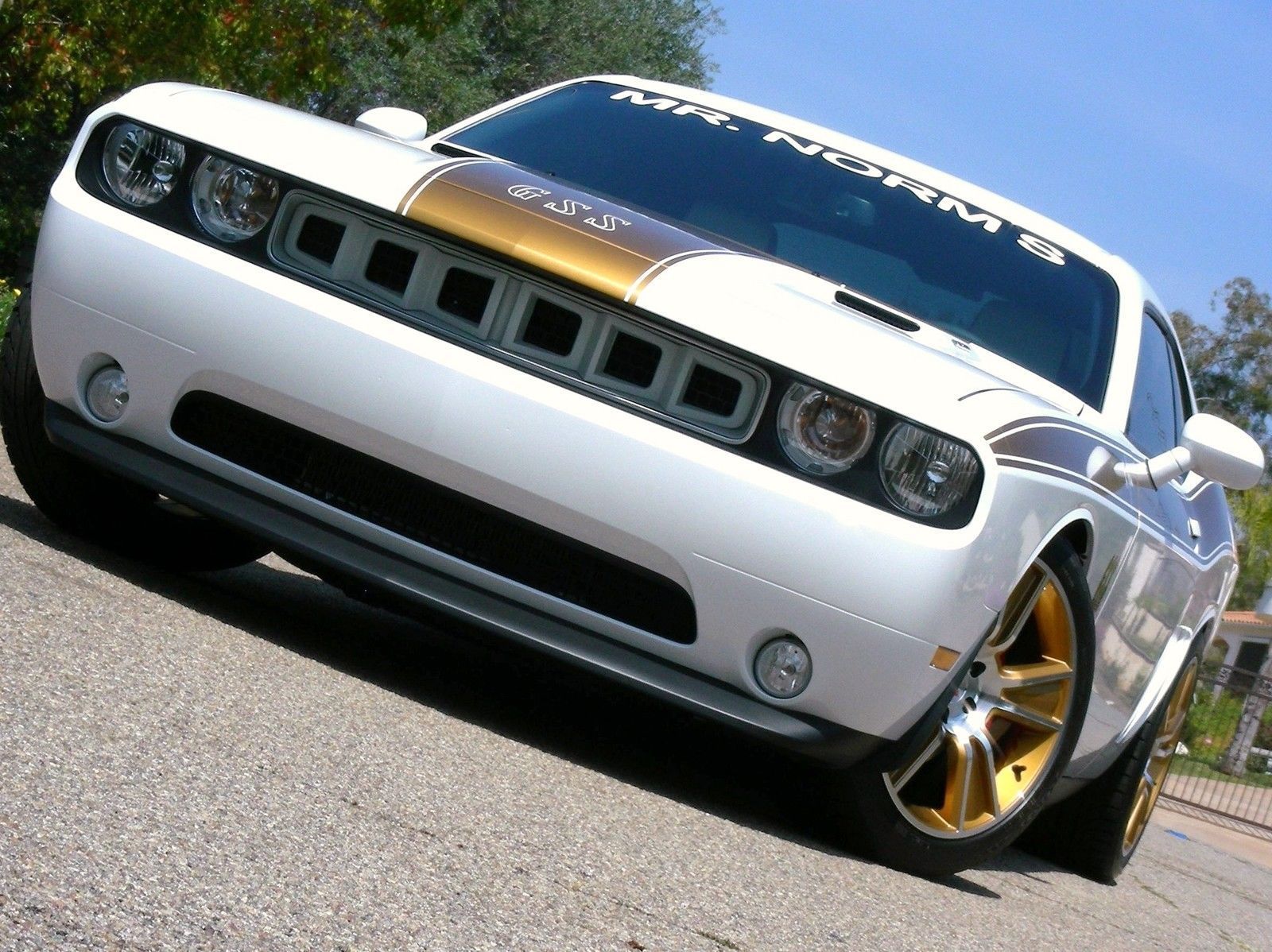 0814 Challenger The Original Mr. Norm's Challenger Cuda Grille Insert