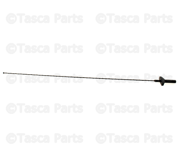 GM OEM-Antenna Mast 15264469